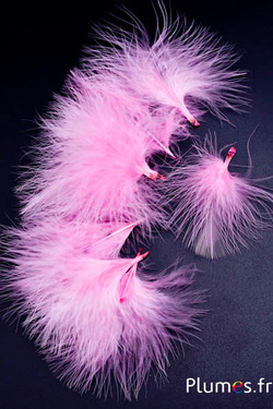 Tacchino marabù-piumino - 4-7 cm - rosa